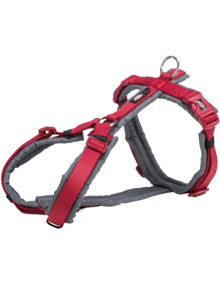 Arnes Premium Trekking S