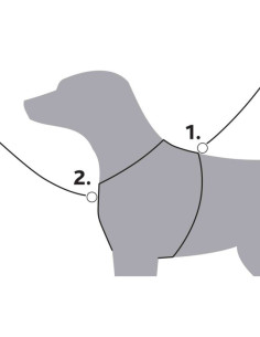 Arnes Premium Trekking M 2