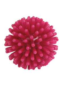 Pelota Erizo