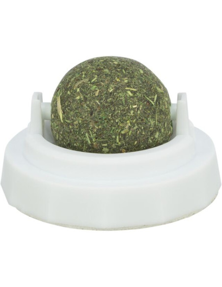 PELOTA DE HIERBA GATERA CON SOPORTE