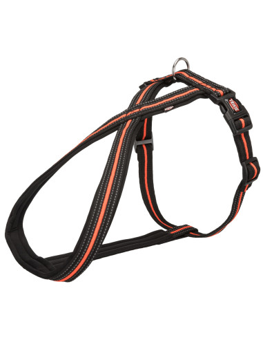 Arnes fusion Touring S