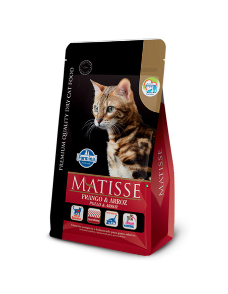 2kg GATO Adulto Pollo y Arroz Matisse