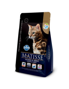 2Kg GATO Adulto Salmón y Arroz Matisse