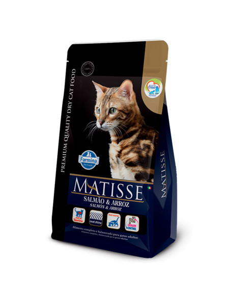 2Kg GATO Adulto Salmón y Arroz Matisse