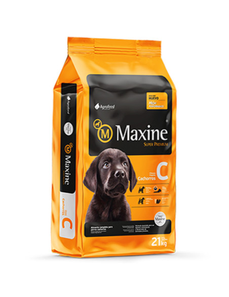 15kg perro Cachorro Maxine