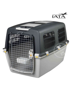 Transportadora Gulliver 7