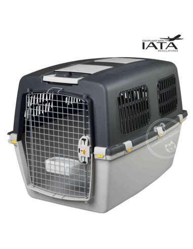 Transportadora Gulliver 7