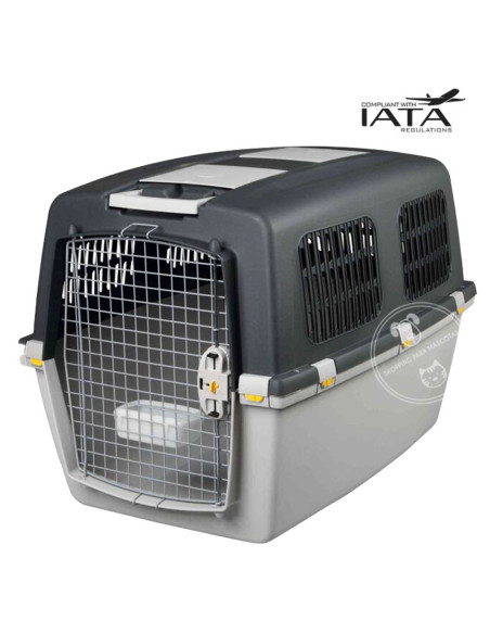 Transportadora Gulliver 7