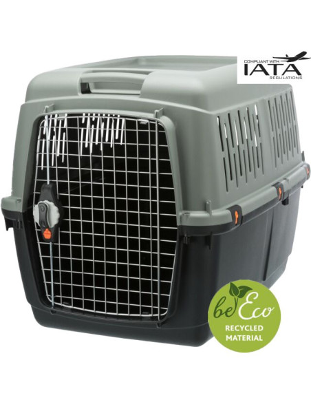 Transportadora Giona, M