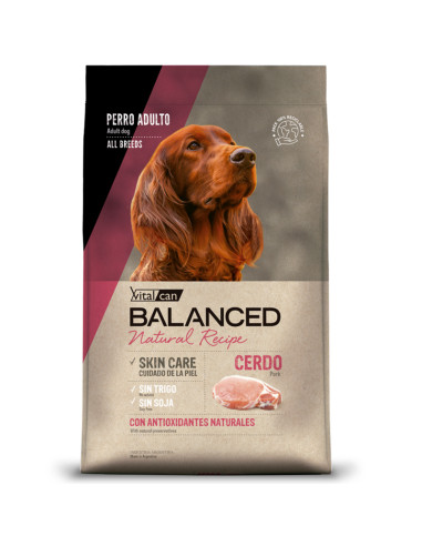 3kg perro adulto Cerdo Natural Recipe Balanced