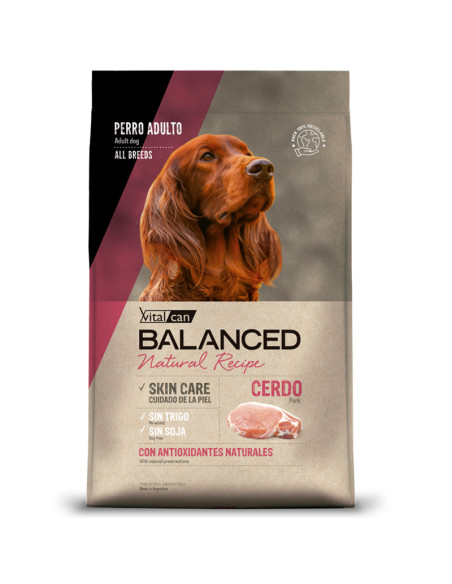 3kg perro adulto Cerdo Natural Recipe Balanced