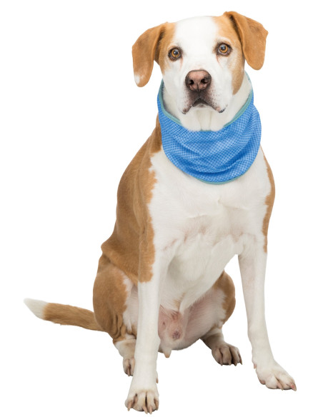 Bandana Refrescante S