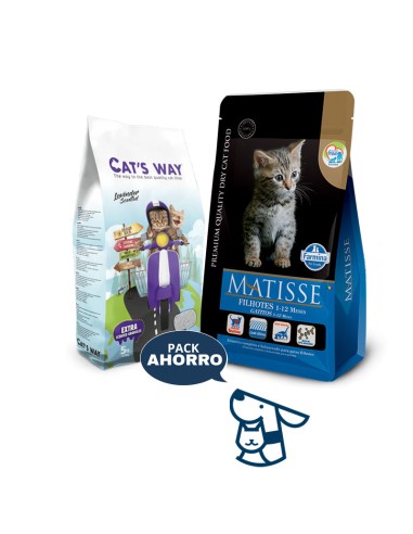 2KG GATITO KITTEN GATO MATISSE + 4.25KG ARENA CATSWAY