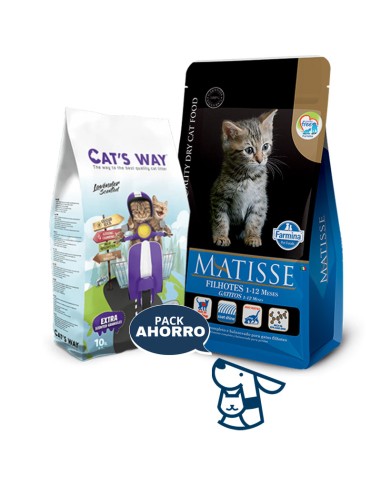 7.5kg GATIITO KITTEN GATO MATISSE +8.5KG ARENA CATSWAY