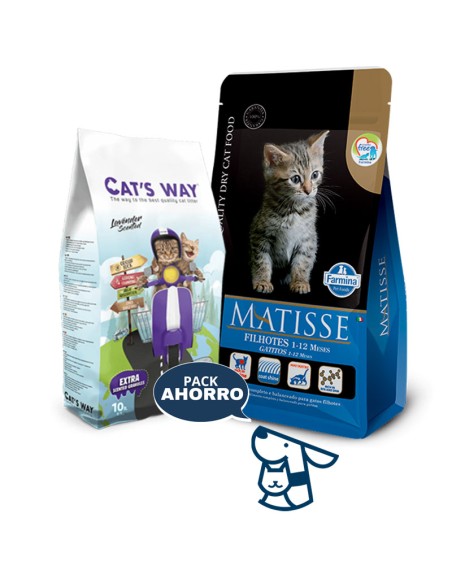 7.5kg GATIITO KITTEN GATO MATISSE +8.5KG ARENA CATSWAY