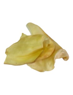 1/2 KG OREJAS VACUNAS MASTICABLES DIGERIBLES