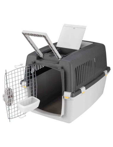 Transportadora Gulliver 7