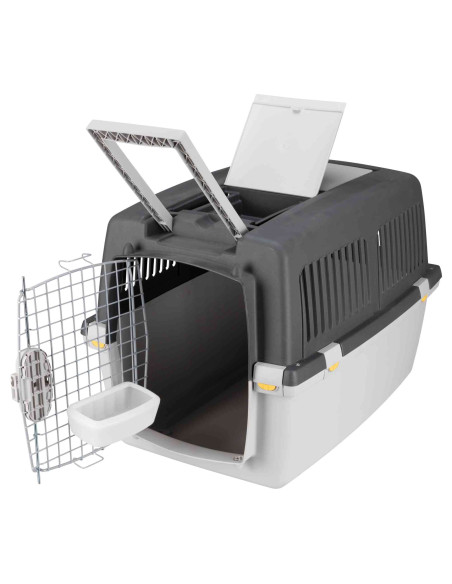 Transportadora Gulliver 7