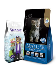 7.5Kg Gatito GATO cachorro Matisse