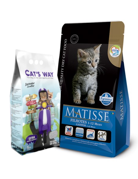 7.5Kg Gatito GATO cachorro KITTEN Matisse