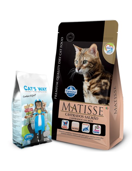7.5Kg GATO Castrado Salmon Matisse