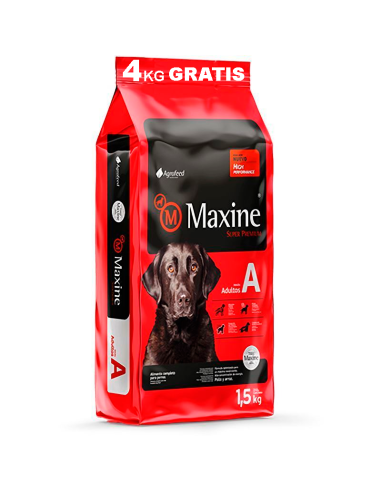 21kg+4kg perro Adulto Maxine
