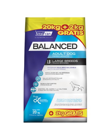 20kg+2kg perro Adulto Raza grande Balanced
