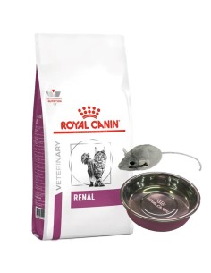 2kg GATO ADULTO RENAL ROYAL CANIN