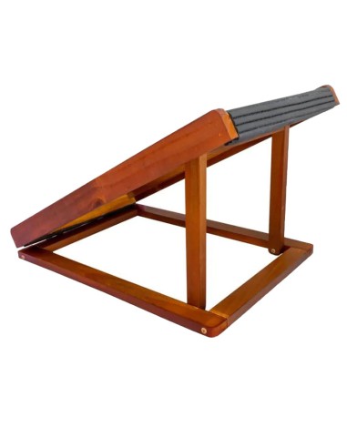 RAMPLA PLEGABLE AJUSTABLE A 3 ALTURAS, MEDIANA No.2