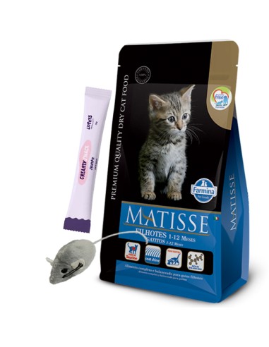 2kg Gatito GATO cachorro KITTEN Matisse