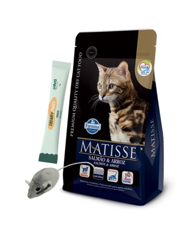Matisse GATO Adulto Salmón y Arroz 2Kg