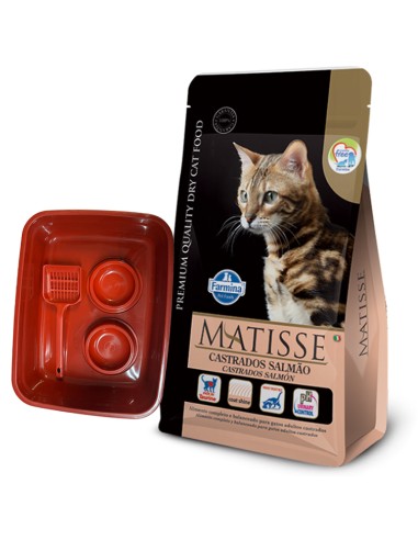 7.5Kg GATO Castrado Salmon Matisse