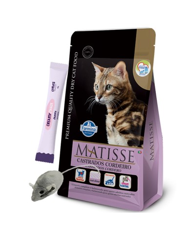 Matisse GATO ADULTO Castrado Cordero 2kg