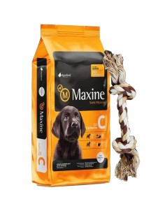 Maxine Perro Cachorro 15 kg
