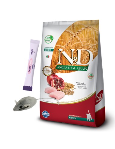 NyD ancestral gatito GATO cachorro KITTEN 1.5KG