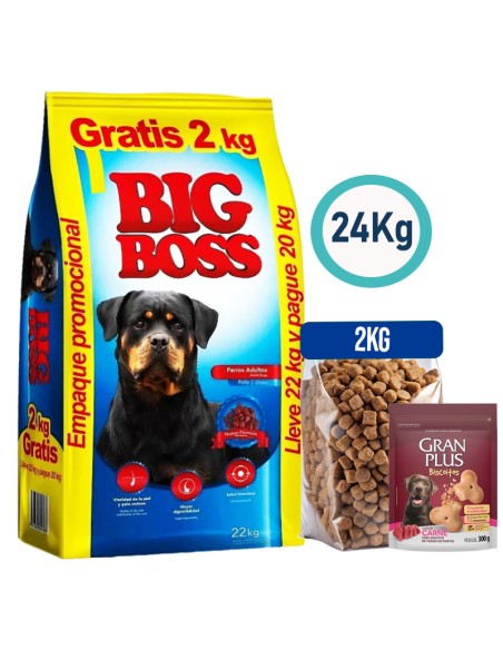 BIG BOSS perro adulto 22kg+2kg