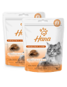 2 UNID SNACK HANA CONTROL BOLA DE PELOS 60g C/U