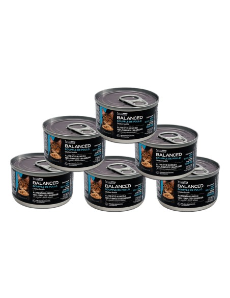 BALANCED alimento humedo gato adulto soufle de pollo 6 unid de 85grs c/u