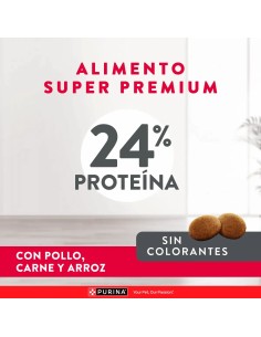 EXCELLENT PERRO ADULTO RAZAS MEDIANAS Y GRANDES 20KG+2KG 2