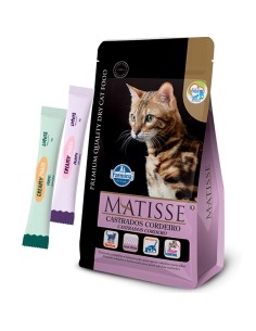 Matisse GATO ADULTO Castrado Cordero 7.5kg