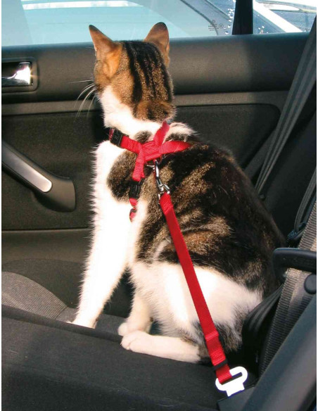 Arnes de Auto para Gato
