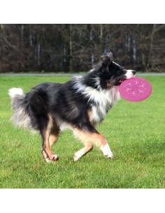 Disco de Silicona Flash Dog 2