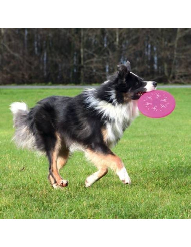 Disco de Silicona Flash Dog
