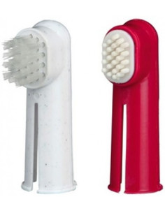 Set Cepillos de Dientes