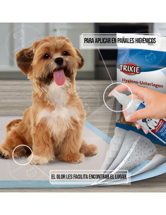 SPRAY para paños higienicos,  entrenamiento en casa 2