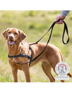 Arnés de entrenamiento Lead´n´Walk