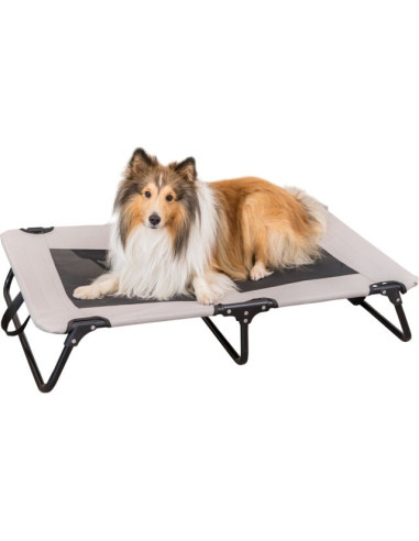 Cama Catre, plegable
