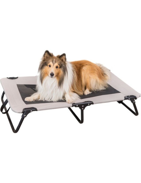 Cama Catre, plegable