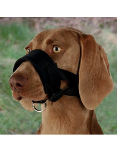 Cabestro de Nylon XXL