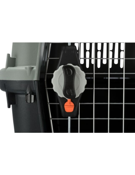 Transportadora Giona, M